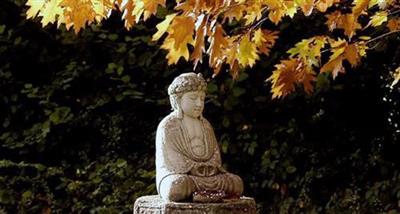    Phật dạy: Một việc đơn giản này nếu không làm được, dù có cúng dường Phật nhiều đến đâu cũng vô ích